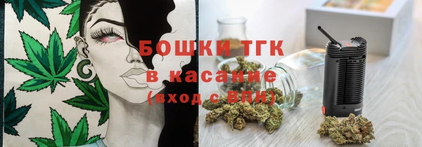 СК Бронницы