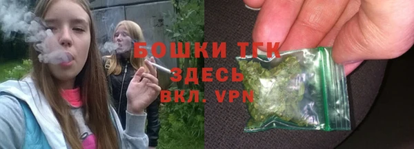 ешки Бородино