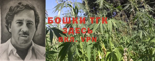 ешки Бородино