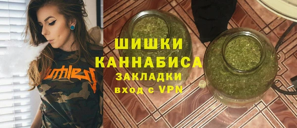 ешки Бородино