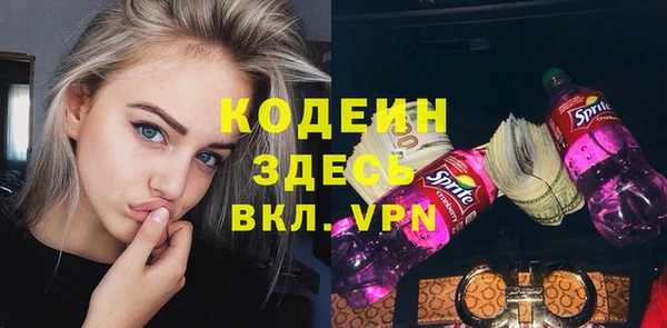 ешки Бородино
