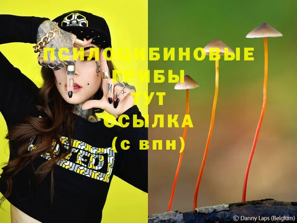 СК Бронницы
