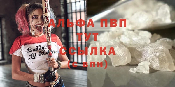 ешки Бородино