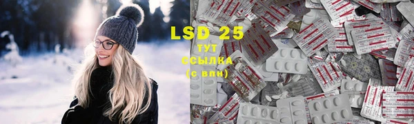 ешки Бородино